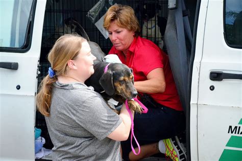 peggy adams animal rescue hours